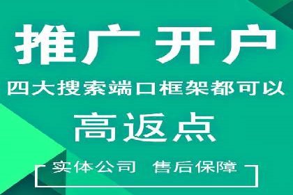 SEM推广优化策略：成功案例解析